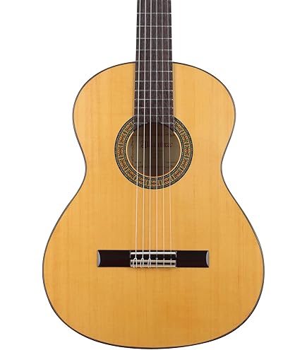 Amazon.com: Alhambra 6 String Acoustic-Electric Guitar